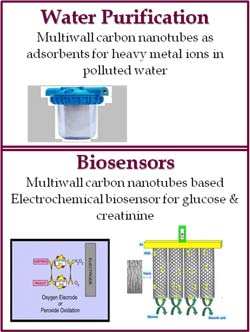 Water Purification - Biosensors